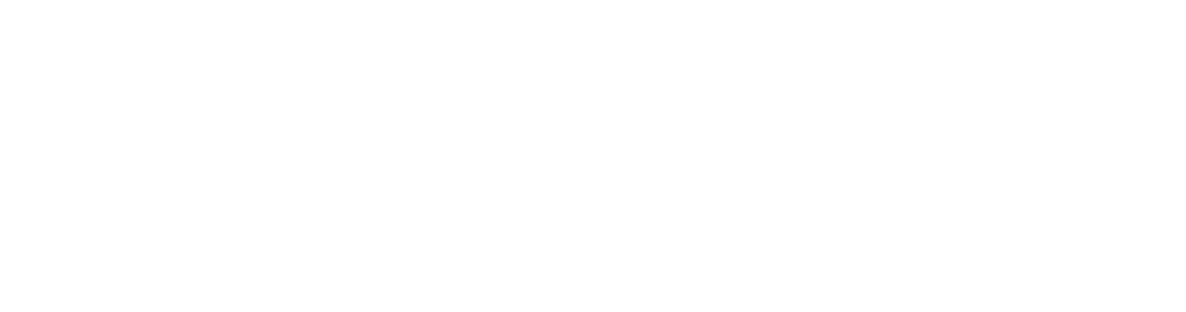 Bears of Sanantonio