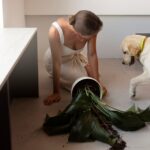 Pet Products