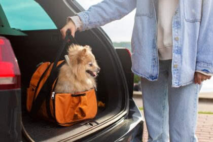 pet transport service