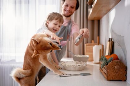 puppy nanny service