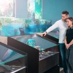 fish tank setup