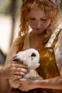 Animals love