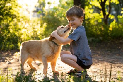 Animals Become Our Best Friends
