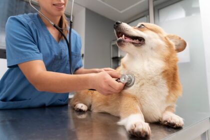 Dog Symptom Checker
