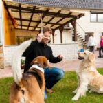 dog training