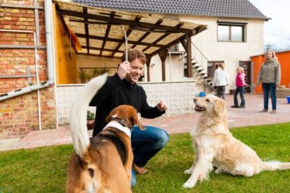 dog training