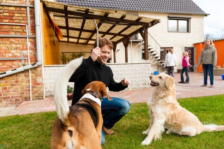 dog training