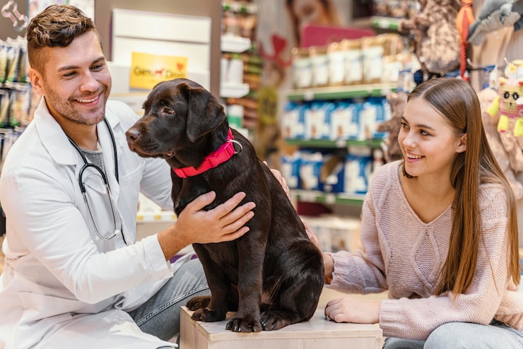 dog training dubai
