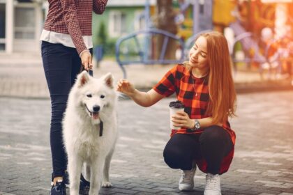 dog training dubai